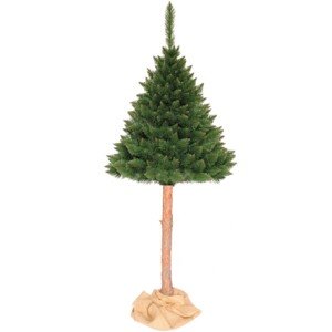 Vánoční borovice himálajská na pníku 220 cm