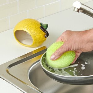 Držák na houbičku Citron