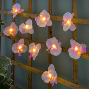 Solární světelný řetěz Orchideje