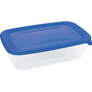 Jídelní box FRESH & GO, 2 L