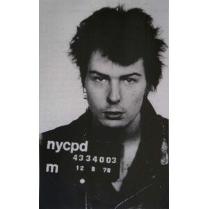 Obrazová reprodukce Sid Vicious I, 2016, Studwell, David, 24.6 × 40 cm