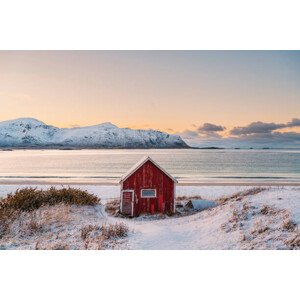 Fotografie Solitary red cabin in a fjord, Lofoten Islands, Marco Bottigelli, 40 × 26.7 cm