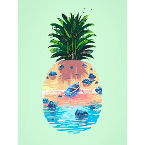 Ilustrace Pineapple Island, Mark Harrison, 30 × 40 cm