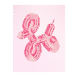 Ilustrace Balloon Dog, Jolly and Dash, 30 × 40 cm