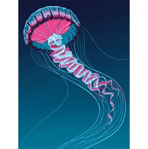 Ilustrace Lions Mane Jellyfish, Mark Harrison, 30 × 40 cm
