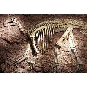 Ilustrace Dinosaur skeleton on Isle of Wight, England, Andrew Holt, 40 × 26.7 cm
