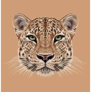 Fotografie Illustrative Portrait of Leopard, ant_art, 40 × 40 cm