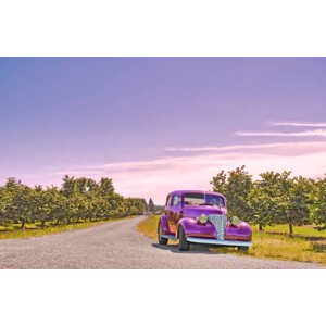 Ilustrace Vintage Car And Orchard, John C Magee, 40 × 26.7 cm