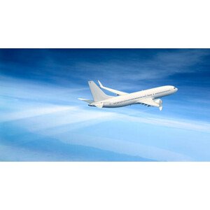 Ilustrace Gerneric Aircraft in flight, Aaron Foster, 40 × 22.2 cm