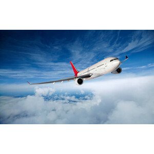 Ilustrace Airplane in Flight, Aaron Foster, 40 × 24.6 cm
