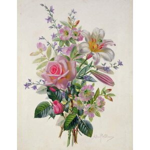 Obrazová reprodukce AB/211 A Pink Bouquet, Williams, Albert, 30 × 40 cm
