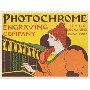 Obrazová reprodukce Photochrome engraving company, 1895, Louis Rhead, 40 × 30 cm