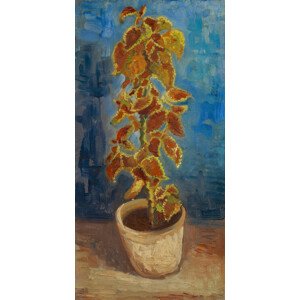 Obrazová reprodukce Flower, 1886, Gogh, Vincent van, 20 × 40 cm