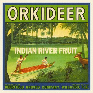 Obrazová reprodukce Orchids River Fruit Brand, Louis Rhead, 40 × 40 cm