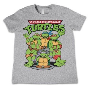 Tričko Teenage Mutant Ninja Turtles - Group, 10y