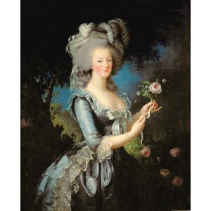 Obrazová reprodukce Marie Antoinette with a Rose, 1783, Vigee-Lebrun, Elisabeth Louise, 30 × 40 cm