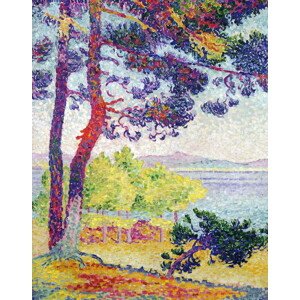 Obrazová reprodukce Afternoon at Pardigon, Var, 1907, Henri-Edmond Cross, 30 × 40 cm