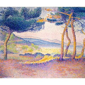Obrazová reprodukce Pines Along the Shore, 1896, Henri-Edmond Cross, 40 × 33.4 cm
