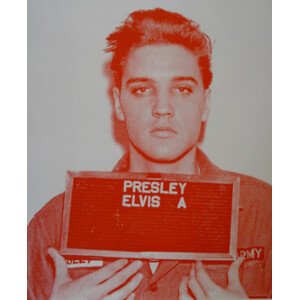 Fotografie Elvis II, 2017, Studwell, David, 30 × 40 cm