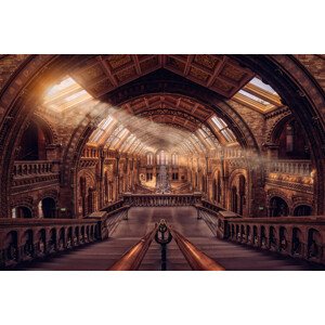 Fotografie Natural History Museum - London, Hernan Calderon Velasco, 40 × 26.7 cm