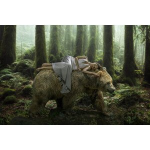 Fotografie Dream Bear, Marcel Egger, 40 × 26.7 cm