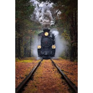 Fotografie Through the autumn forest, Rafal R. Nebelski, 26.7 × 40 cm