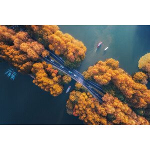 Fotografie Autumn Dye Yang Gongdi, Yuan Cui, 40 × 26.7 cm