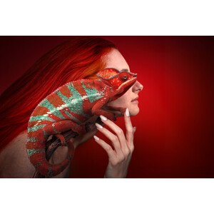 Fotografie Red Friends, Marcel Egger, 40 × 26.7 cm