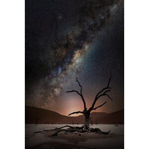 Fotografie Namibia Stars, Marcel Egger, 26.7 × 40 cm