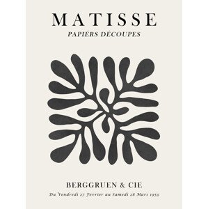 Fotografie Matisse floral 1, Vitor Costa, 30 × 40 cm