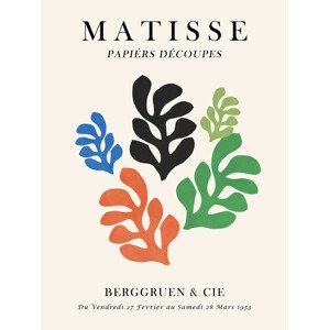 Fotografie Matisse floral 7, Vitor Costa, 30 × 40 cm