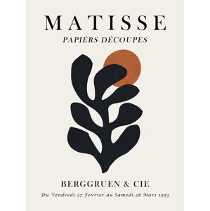 Fotografie Matisse floral 9, Vitor Costa, 30 × 40 cm