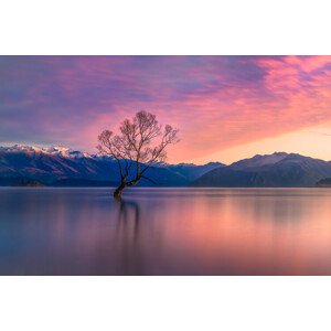 Fotografie Pastel evening, Jianping Yang, 40 × 26.7 cm