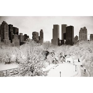 Fotografie Central Park winter, rabbit75_ist, 40 × 26.7 cm