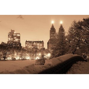Fotografie Central Park winter, rabbit75_ist, 40 × 26.7 cm