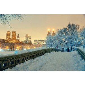 Fotografie Central Park winter, rabbit75_ist, 40 × 26.7 cm