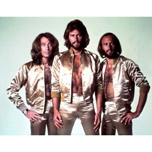 Fotografie Bee Gees, Michael Ochs Archives, 40 × 30 cm