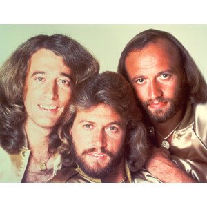 Fotografie The Bee Gees, Michael Ochs Archives, 40 × 30 cm