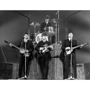 Fotografie Beatles On Stage, Michael Webb, 40 × 30 cm
