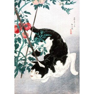 Obrazová reprodukce Cat with Tomato Plant (1931), Hiroaki Takahashi, 26.7 × 40 cm