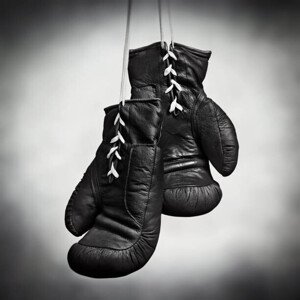 Fotografie Laced boxing gloves, SEAN GLADWELL, 40 × 40 cm