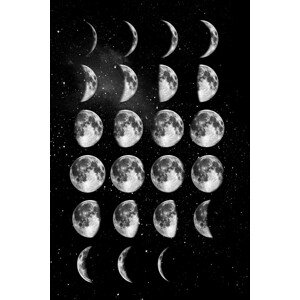 Ilustrace Full Moon Cycle, Brett Wilson, 26.7 × 40 cm