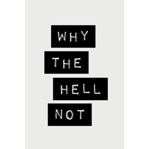 Ilustrace Why the Hell Not, Brett Wilson, 26.7 × 40 cm