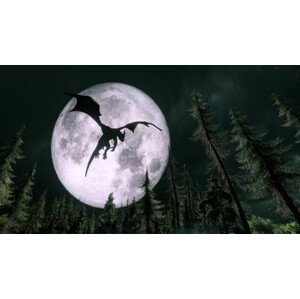 Ilustrace Dragon flying in the night, cokada, 40 × 22.2 cm