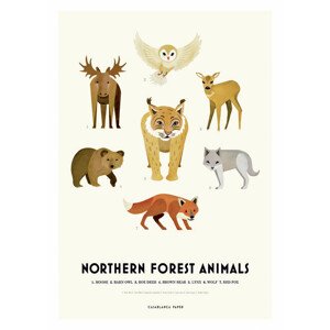 Ilustrace Northern Forest Animals, Erik Wintzell, 30 × 40 cm