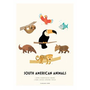 Ilustrace South American Animals, Erik Wintzell, 30 × 40 cm