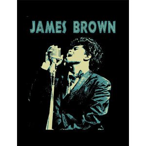 Obraz na zeď - James Brown - Sing, 34.3 x 44.5 cm