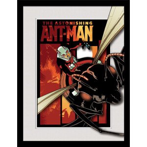 Obraz na zeď - Marvel - Astonishing Ant-Man, 34.3 x 44.5 cm