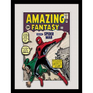 Obraz na zeď - Marvel - Spider-Man Comic, 34.3 x 44.5 cm