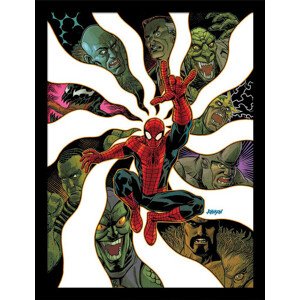 Obraz na zeď - Marvel Classic - Amazing Spider-Man Vol 5, 34.3 x 44.5 cm